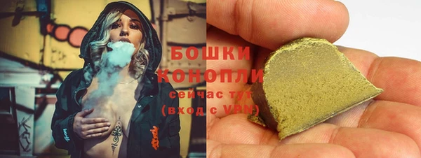 сатива Белокуриха