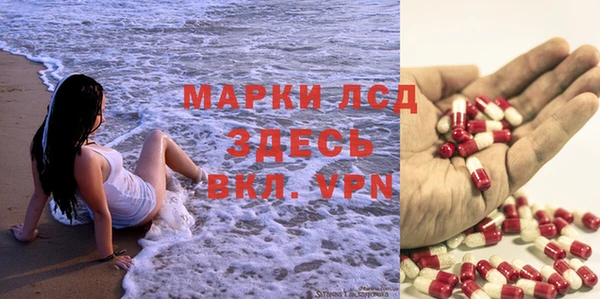сатива Белокуриха
