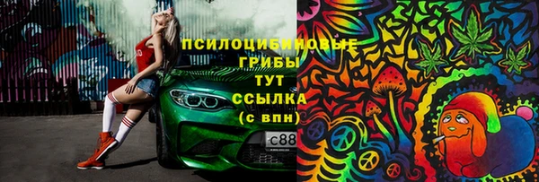 сатива Белокуриха