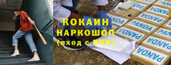 сатива Белокуриха
