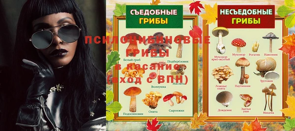 PSILOCYBIN Беломорск