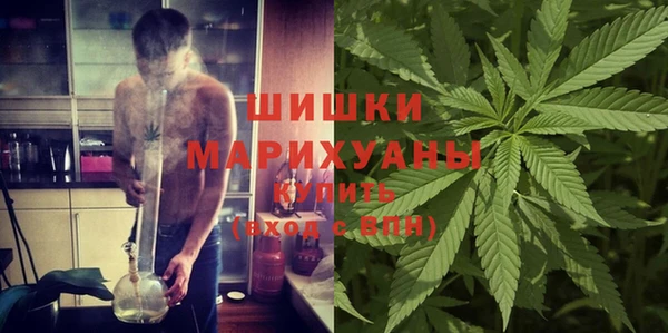 PSILOCYBIN Беломорск