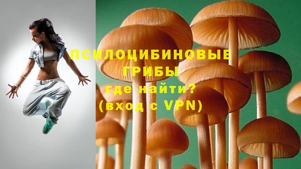 PSILOCYBIN Беломорск